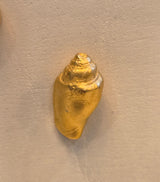 HB Conch Shell Small - Gold
