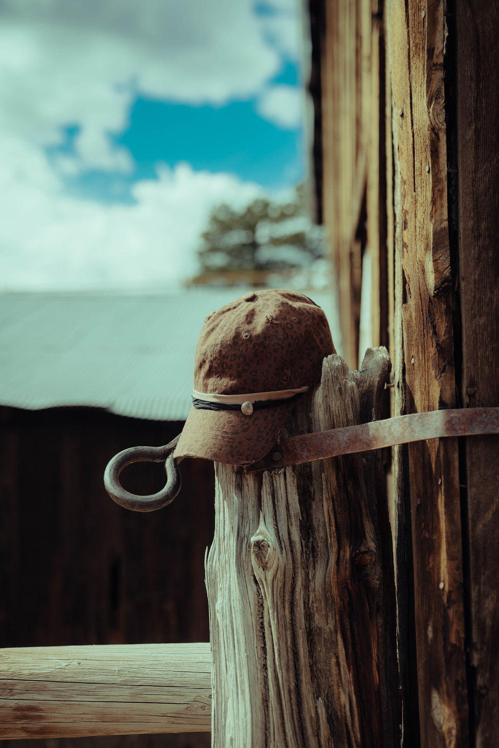 Safari Baseball Hat