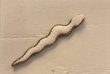 HB Pequeno Carved Snake -White and Bronze